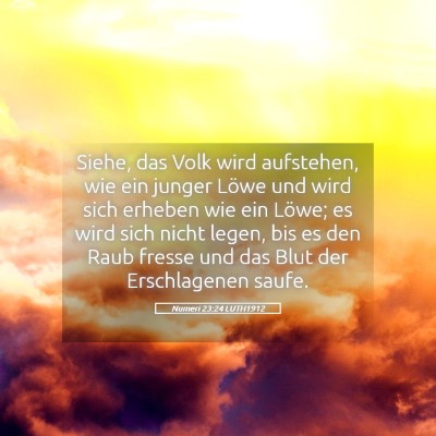 Picture 05 - Numeri 23:24 LUTH1912 - Siehe, das Volk wird aufstehen, wie ein junger - Bible Verse Picture