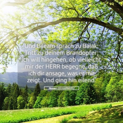 Picture 05 - Numeri 23:3 LUTH1912 - Und Bileam sprach zu Balak: Tritt zu deinem - Bible Verse Picture