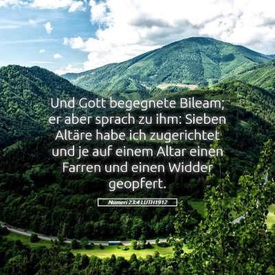 Picture 05 - Numeri 23:4 LUTH1912 - Und Gott begegnete Bileam; er aber sprach zu ihm: - Bible Verse Picture
