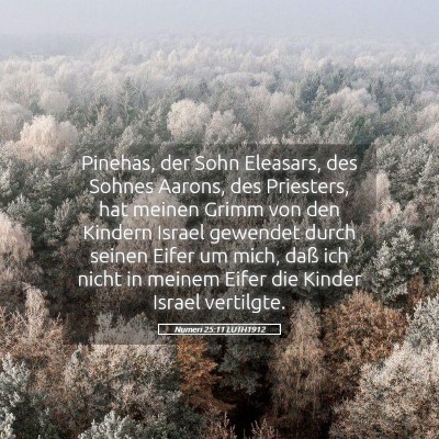 Picture 05 - Numeri 25:11 LUTH1912 - Pinehas, der Sohn Eleasars, des Sohnes Aarons, - Bible Verse Picture