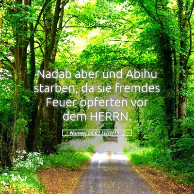 Picture 05 - Numeri 26:61 LUTH1912 - Nadab aber und Abihu starben, da sie fremdes - Bible Verse Picture
