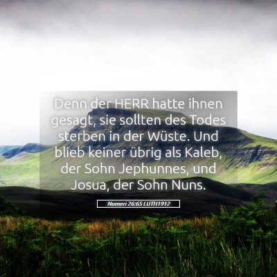 Picture 05 - Numeri 26:65 LUTH1912 - Denn der HERR hatte ihnen gesagt, sie sollten des - Bible Verse Picture