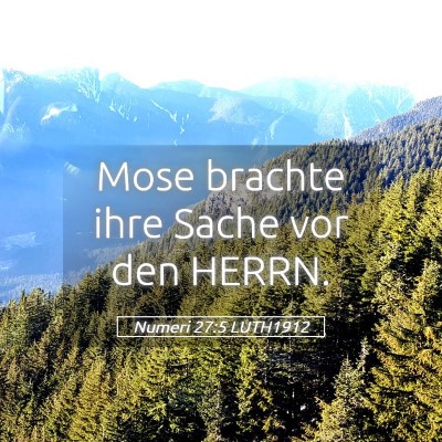Picture 05 - Numeri 27:5 LUTH1912 - Mose brachte ihre Sache vor den - Bible Verse Picture
