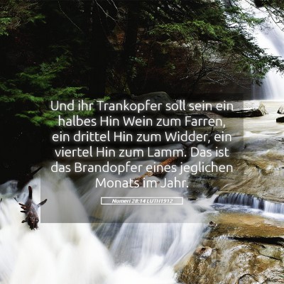 Picture 05 - Numeri 28:14 LUTH1912 - Und ihr Trankopfer soll sein ein halbes Hin Wein - Bible Verse Picture