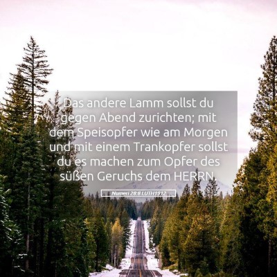 Picture 05 - Numeri 28:8 LUTH1912 - Das andere Lamm sollst du gegen Abend zurichten; - Bible Verse Picture