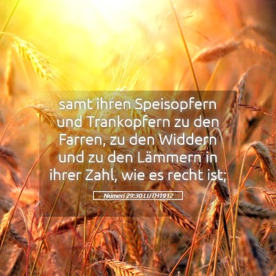 Picture 05 - Numeri 29:30 LUTH1912 - samt ihren Speisopfern und Trankopfern zu den - Bible Verse Picture