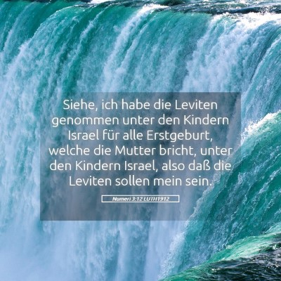 Picture 05 - Numeri 3:12 LUTH1912 - Siehe, ich habe die Leviten genommen unter den - Bible Verse Picture