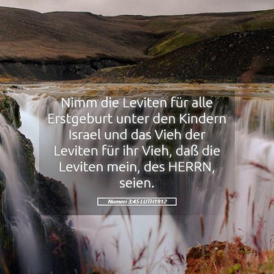 Picture 05 - Numeri 3:45 LUTH1912 - Nimm die Leviten für alle Erstgeburt unter den - Bible Verse Picture