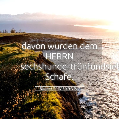 Picture 05 - Numeri 31:37 LUTH1912 - davon wurden dem HERRN - Bible Verse Picture