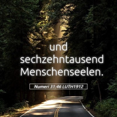 Picture 05 - Numeri 31:46 LUTH1912 - und sechzehntausend - Bible Verse Picture