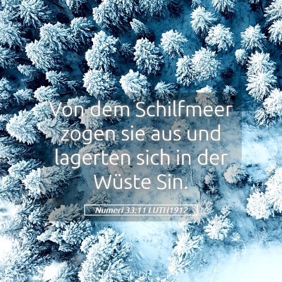 Picture 05 - Numeri 33:11 LUTH1912 - Von dem Schilfmeer zogen sie aus und lagerten - Bible Verse Picture