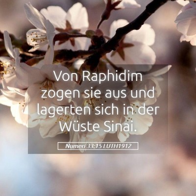 Picture 05 - Numeri 33:15 LUTH1912 - Von Raphidim zogen sie aus und lagerten sich in - Bible Verse Picture