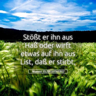 Picture 05 - Numeri 35:20 LUTH1912 - Stößt er ihn aus Haß oder wirft etwas auf ihn - Bible Verse Picture