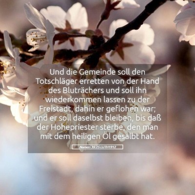 Picture 05 - Numeri 35:25 LUTH1912 - Und die Gemeinde soll den Totschläger erretten - Bible Verse Picture