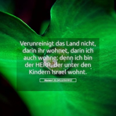 Picture 05 - Numeri 35:34 LUTH1912 - Verunreinigt das Land nicht, darin ihr wohnet, - Bible Verse Picture