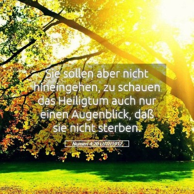 Picture 05 - Numeri 4:20 LUTH1912 - Sie sollen aber nicht hineingehen, zu schauen das - Bible Verse Picture