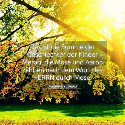 Picture 05 - Numeri 4:45 LUTH1912 - Das ist die Summe der Geschlechter der Kinder - Bible Verse Picture