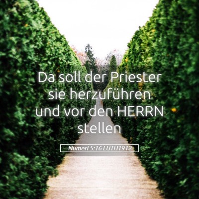 Picture 05 - Numeri 5:16 LUTH1912 - Da soll der Priester sie herzuführen und vor den - Bible Verse Picture