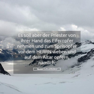 Picture 05 - Numeri 5:25 LUTH1912 - Es soll aber der Priester von ihrer Hand das - Bible Verse Picture
