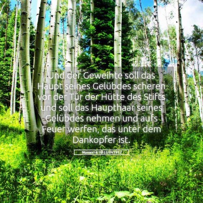 Picture 05 - Numeri 6:18 LUTH1912 - Und der Geweihte soll das Haupt seines Gelübdes - Bible Verse Picture