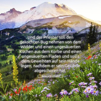 Picture 05 - Numeri 6:19 LUTH1912 - Und der Priester soll den gekochten Bug nehmen - Bible Verse Picture