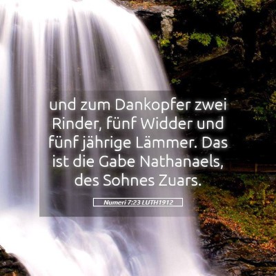 Picture 05 - Numeri 7:23 LUTH1912 - und zum Dankopfer zwei Rinder, fünf Widder und - Bible Verse Picture