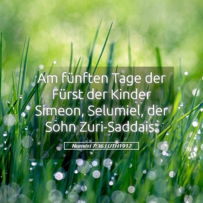 Picture 05 - Numeri 7:36 LUTH1912 - Am fünften Tage der Fürst der Kinder Simeon, - Bible Verse Picture