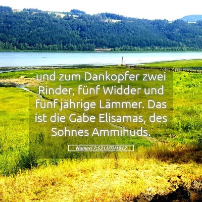 Picture 05 - Numeri 7:53 LUTH1912 - und zum Dankopfer zwei Rinder, fünf Widder und - Bible Verse Picture