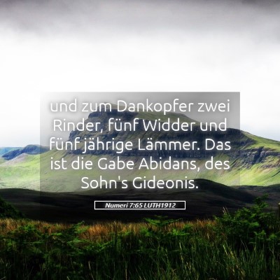Picture 05 - Numeri 7:65 LUTH1912 - und zum Dankopfer zwei Rinder, fünf Widder und - Bible Verse Picture