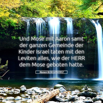 Picture 05 - Numeri 8:20 LUTH1912 - Und Mose mit Aaron samt der ganzen Gemeinde der - Bible Verse Picture