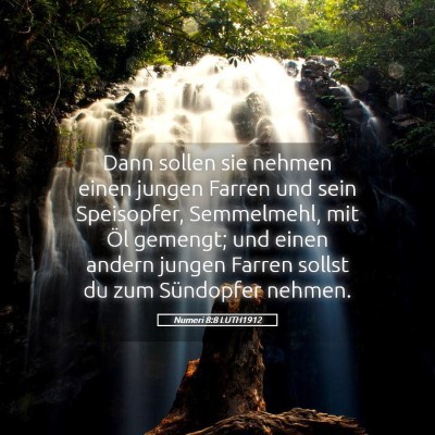 Picture 05 - Numeri 8:8 LUTH1912 - Dann sollen sie nehmen einen jungen Farren und - Bible Verse Picture