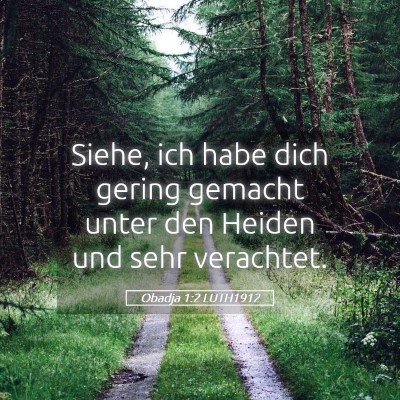 Picture 05 - Obadja 1:2 LUTH1912 - Siehe, ich habe dich gering gemacht unter den - Bible Verse Picture