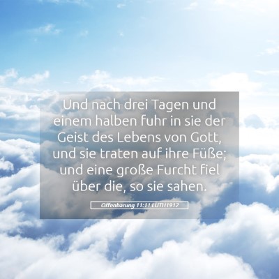 Picture 05 - Offenbarung 11:11 LUTH1912 - Und nach drei Tagen und einem halben fuhr in sie - Bible Verse Picture
