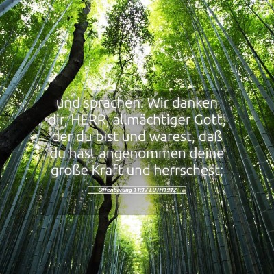 Picture 05 - Offenbarung 11:17 LUTH1912 - und sprachen: Wir danken dir, HERR, allmächtiger - Bible Verse Picture