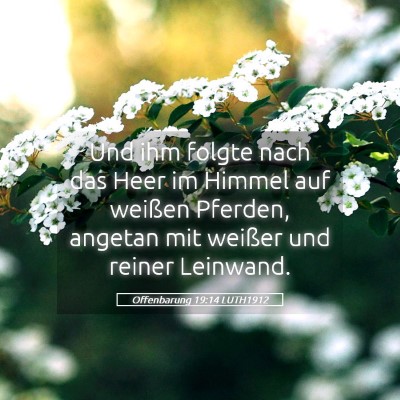 Picture 05 - Offenbarung 19:14 LUTH1912 - Und ihm folgte nach das Heer im Himmel auf - Bible Verse Picture