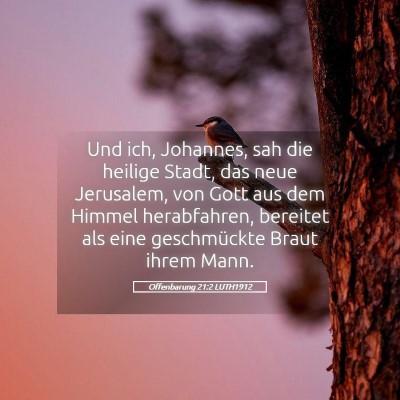 Picture 05 - Offenbarung 21:2 LUTH1912 - Und ich, Johannes, sah die heilige Stadt, das - Bible Verse Picture
