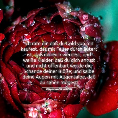 Picture 05 - Offenbarung 3:18 LUTH1912 - Ich rate dir, daß du Gold von mir kaufest, das - Bible Verse Picture