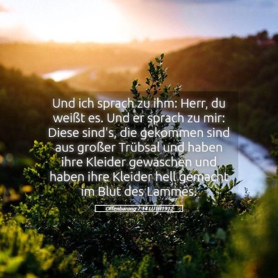 Picture 05 - Offenbarung 7:14 LUTH1912 - Und ich sprach zu ihm: Herr, du weißt es. Und er - Bible Verse Picture