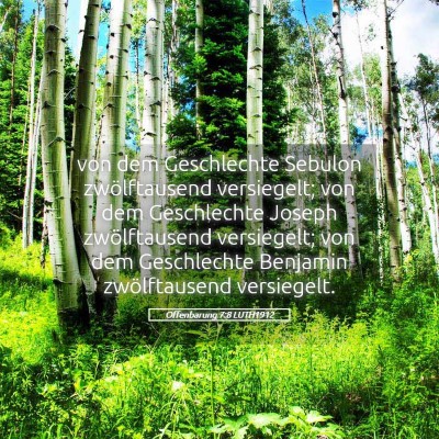 Picture 05 - Offenbarung 7:8 LUTH1912 - von dem Geschlechte Sebulon zwölftausend - Bible Verse Picture