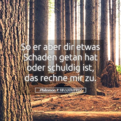 Picture 05 - Philemon 1:18 LUTH1912 - So er aber dir etwas Schaden getan hat oder - Bible Verse Picture