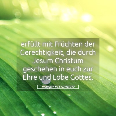 Picture 05 - Philipper 1:11 LUTH1912 - erfüllt mit Früchten der Gerechtigkeit, die - Bible Verse Picture
