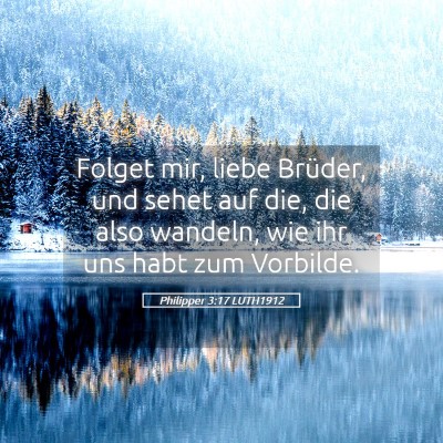 Picture 05 - Philipper 3:17 LUTH1912 - Folget mir, liebe Brüder, und sehet auf die, die - Bible Verse Picture