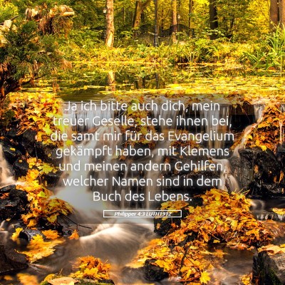Picture 05 - Philipper 4:3 LUTH1912 - Ja ich bitte auch dich, mein treuer Geselle, - Bible Verse Picture