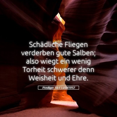 Picture 05 - Prediger 10:1 LUTH1912 - Schädliche Fliegen verderben gute Salben; also - Bible Verse Picture