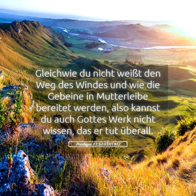 Picture 05 - Prediger 11:5 LUTH1912 - Gleichwie du nicht weißt den Weg des Windes und - Bible Verse Picture