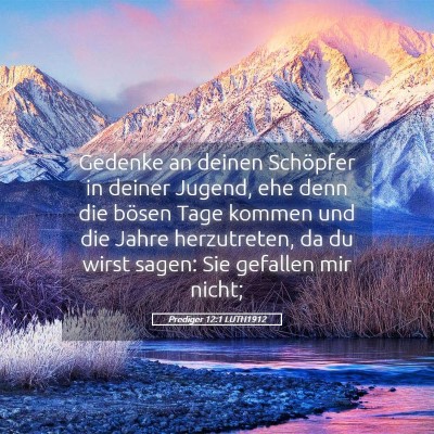 Picture 05 - Prediger 12:1 LUTH1912 - Gedenke an deinen Schöpfer in deiner Jugend, ehe - Bible Verse Picture