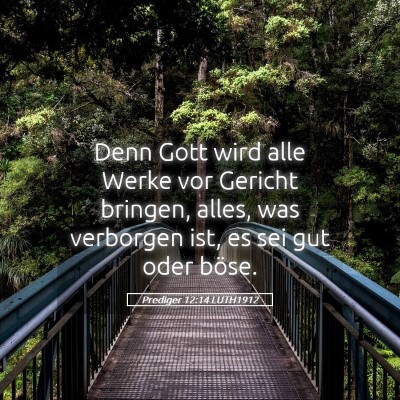 Picture 05 - Prediger 12:14 LUTH1912 - Denn Gott wird alle Werke vor Gericht bringen, - Bible Verse Picture