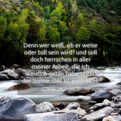 Picture 05 - Prediger 2:19 LUTH1912 - Denn wer weiß, ob er weise oder toll sein wird? - Bible Verse Picture