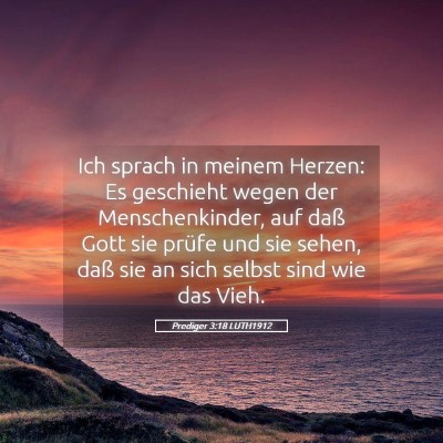 Picture 05 - Prediger 3:18 LUTH1912 - Ich sprach in meinem Herzen: Es geschieht wegen - Bible Verse Picture
