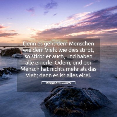 Picture 05 - Prediger 3:19 LUTH1912 - Denn es geht dem Menschen wie dem Vieh: wie dies - Bible Verse Picture